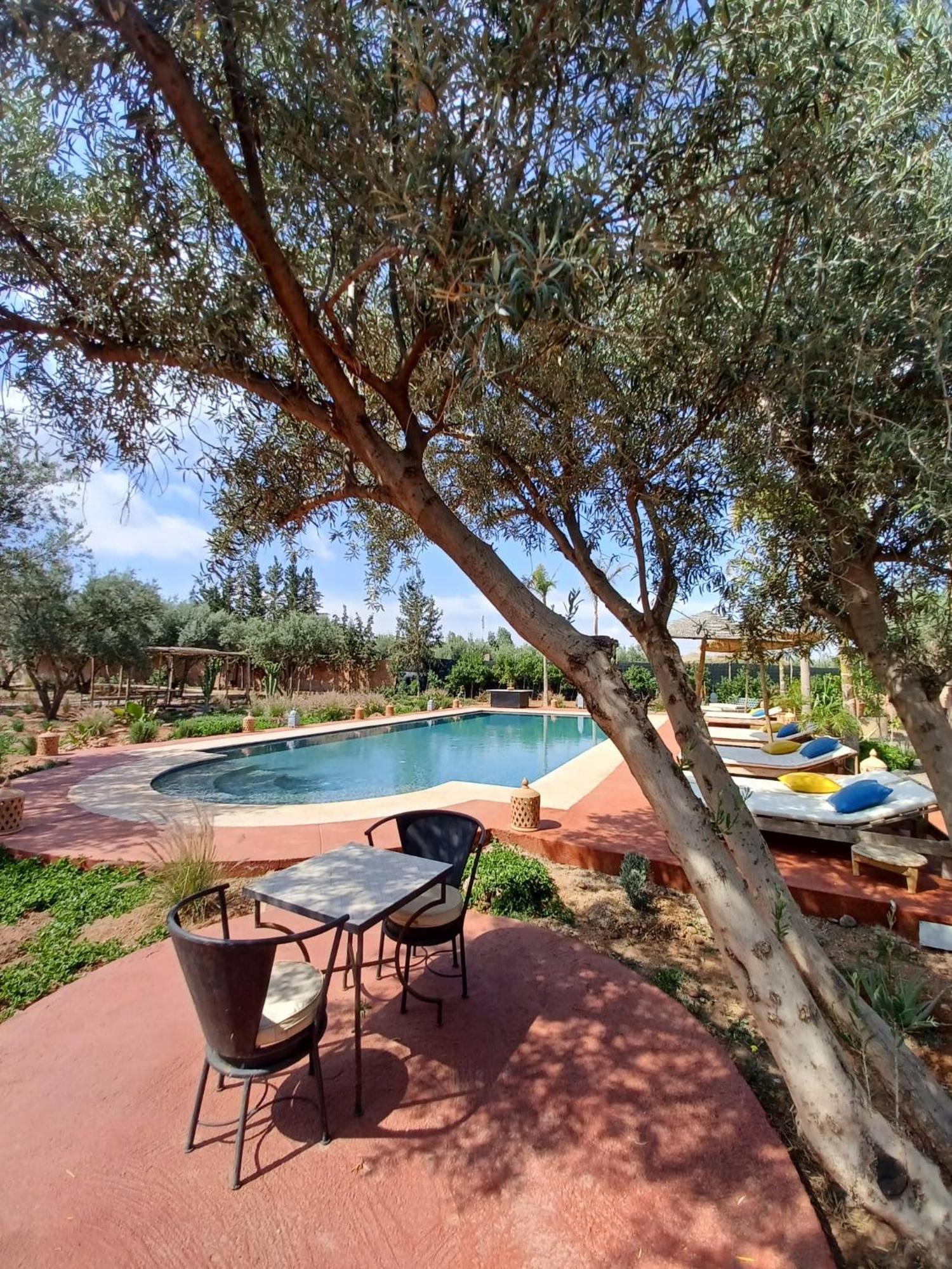 Villa Chez Marie Marrakesh Eksteriør billede